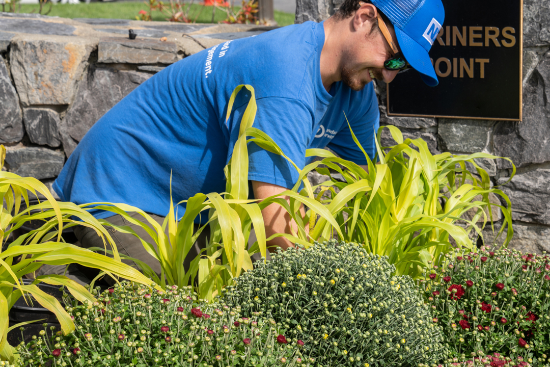 Employee planting