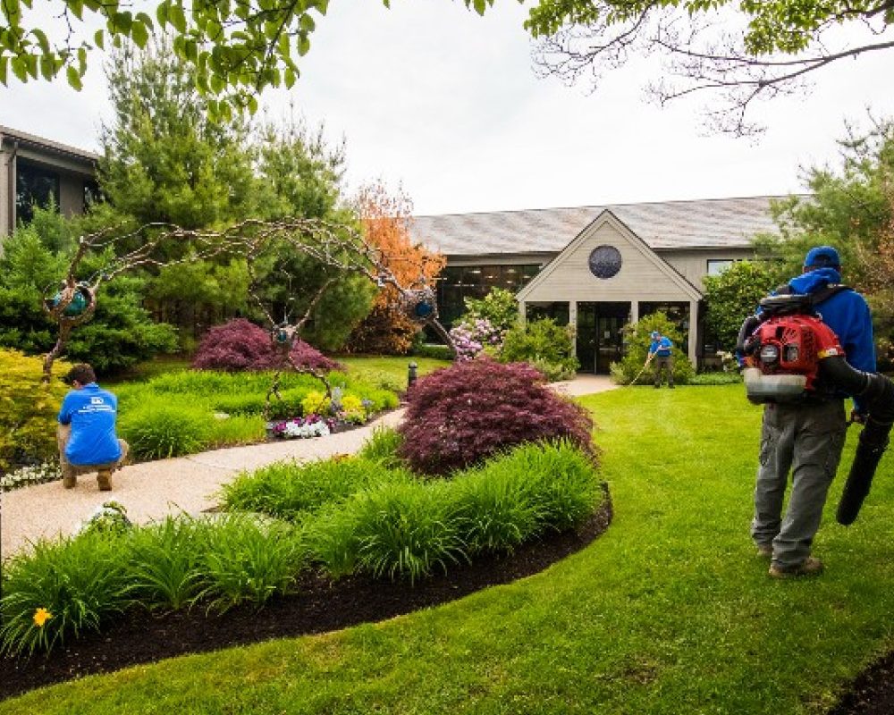 Welcoming Pathways: Incorporating Walkways in Front-Door Landscaping