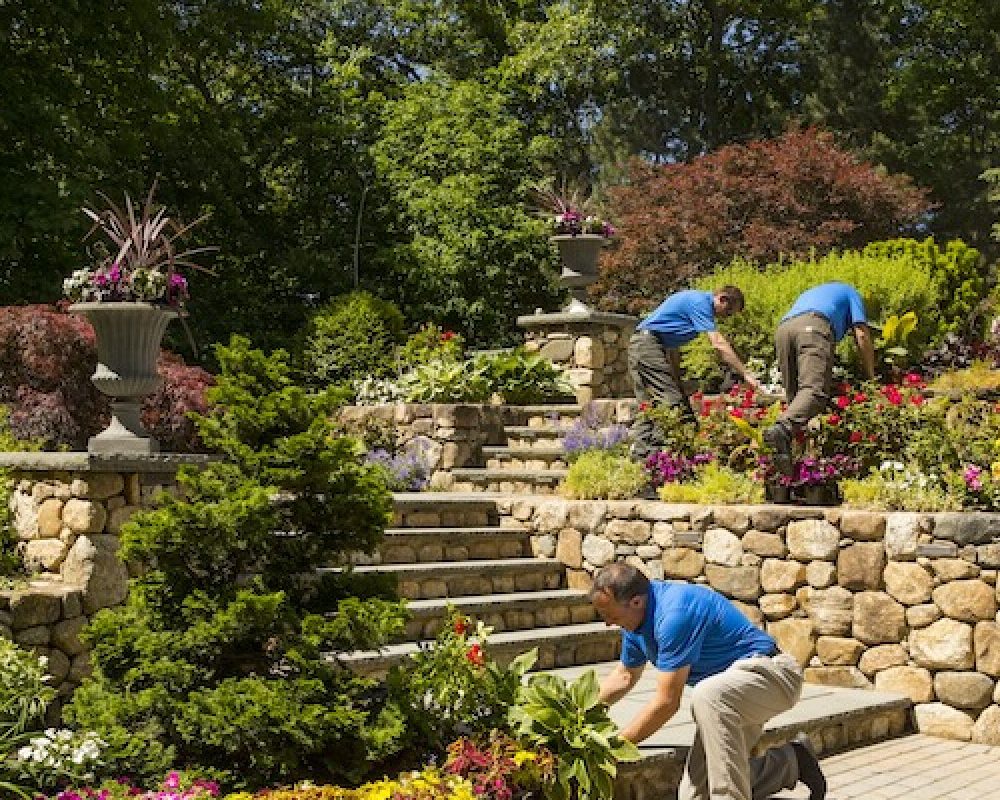 Ask the Experts: How to Find the Best Full Service Landscaping Near Me