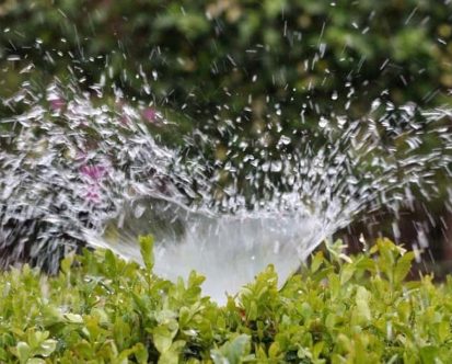 Hiring Irrigation Professionals in Massachusetts? Work With the Right Experts for Your Project