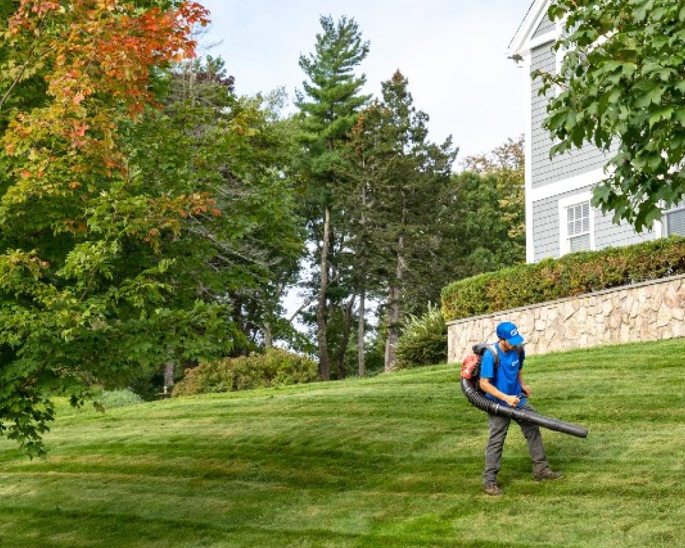 The Ultimate Massachusetts Spring Cleanup Checklist