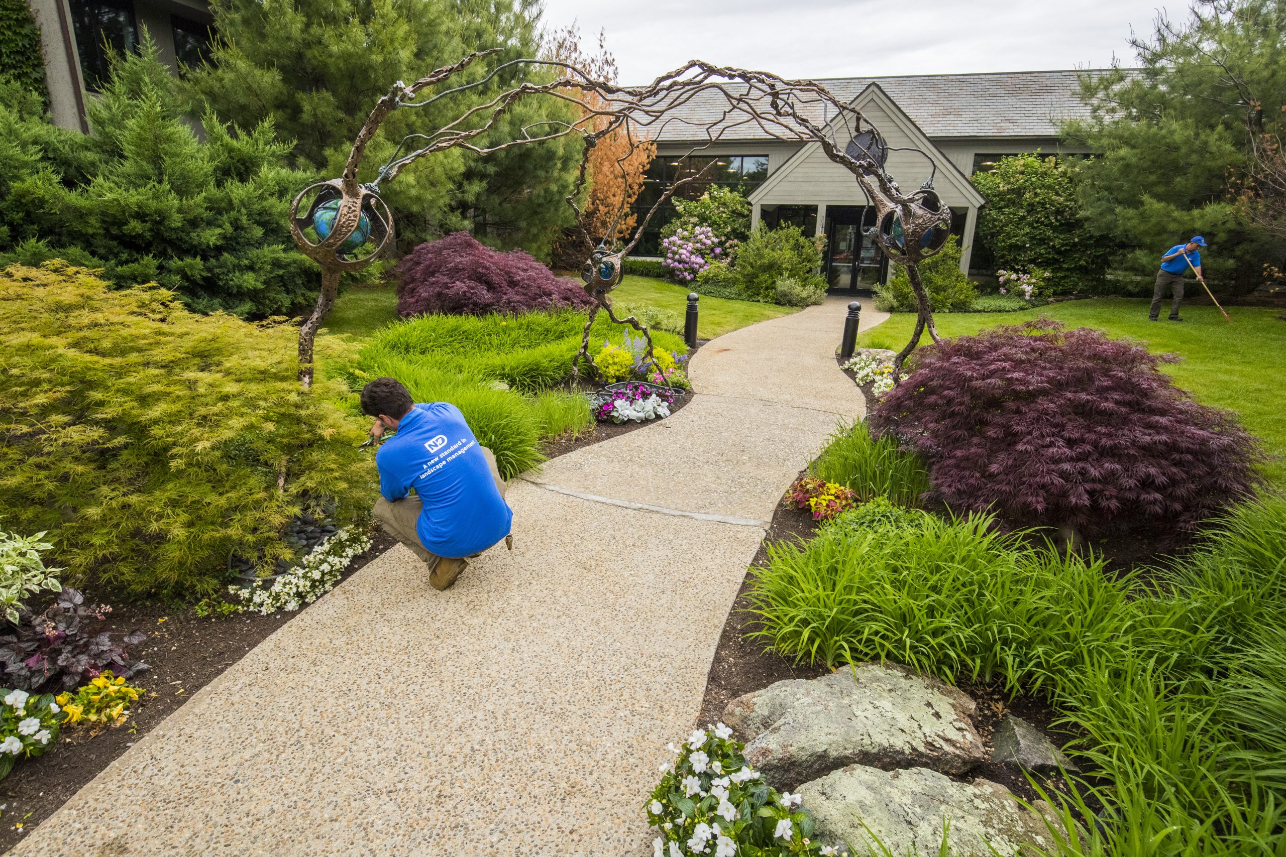 path with garden and landscapers