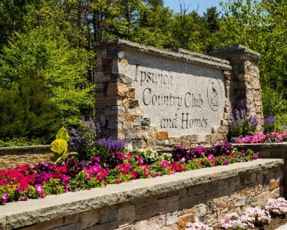 Planting Bulbs for Seasonal Color in Massachusetts: A Burst of Spring Beauty