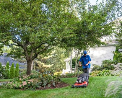 Mastering the Essentials of Spring Lawn Care in Massachusetts