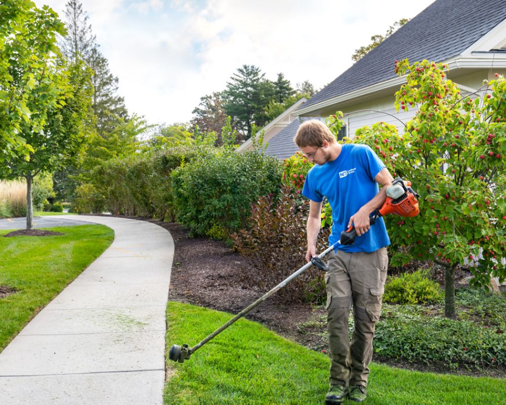 The Value of Full-Service Landscape Management