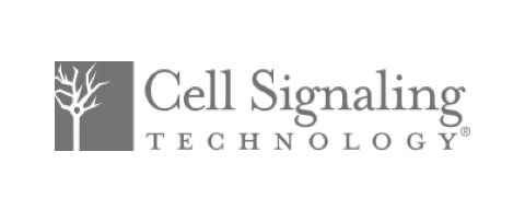 cell-signaling-technology.jpg